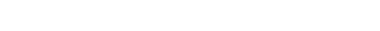 Execuitve Search